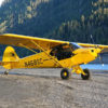 Grupp Carbon Cub <br/>SS Yellow 40 % <br/>(R-T-F) Ready to fly